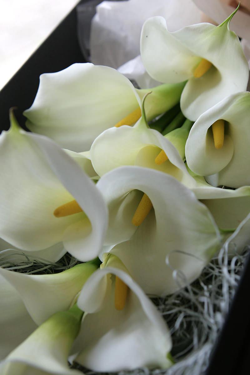 Calla Box Bouquet