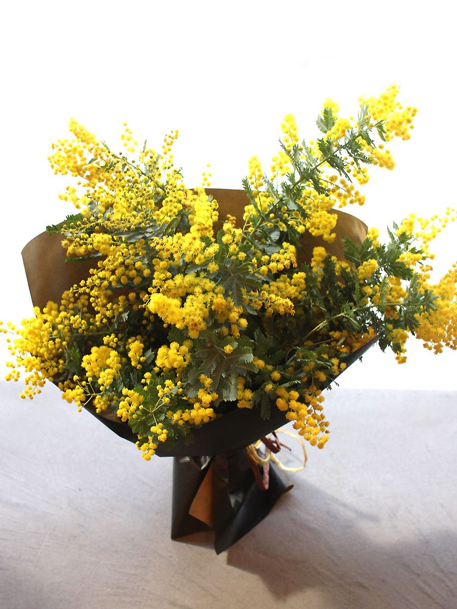 Mimosa Bouquet 3000