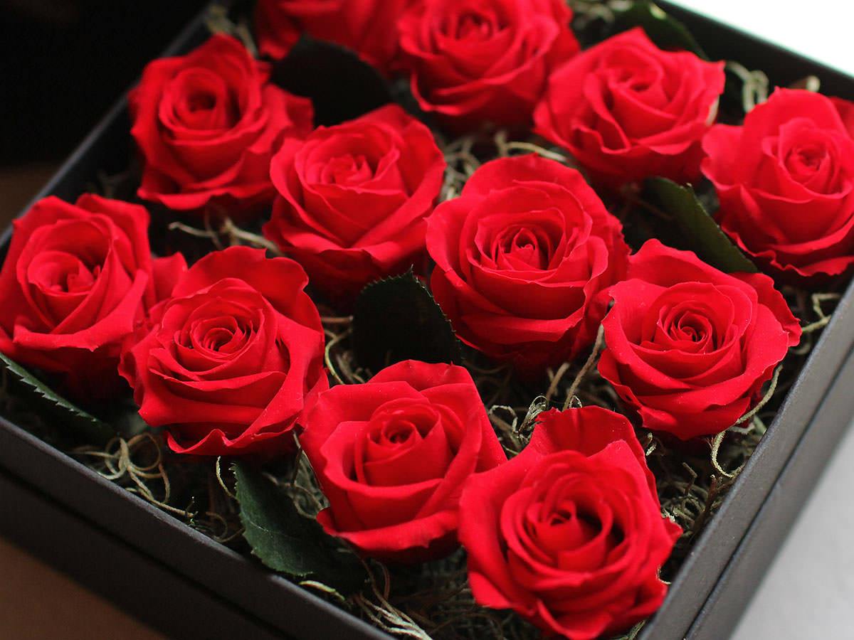 Preserved Flower Dozen Roses Box Arrangement S size