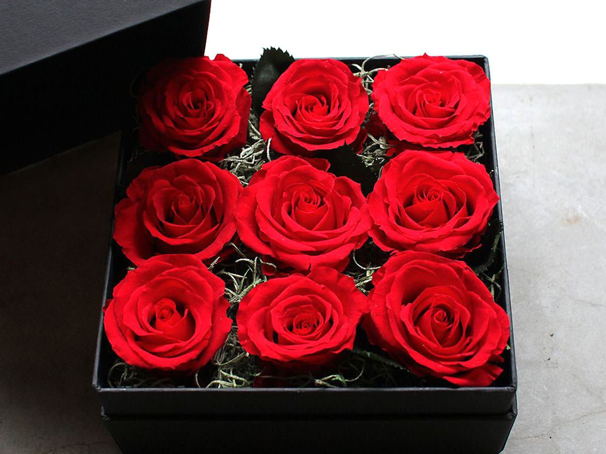 nine roses box arrangement xl