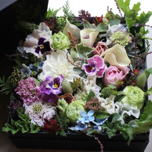 ec_box-arrange-color01