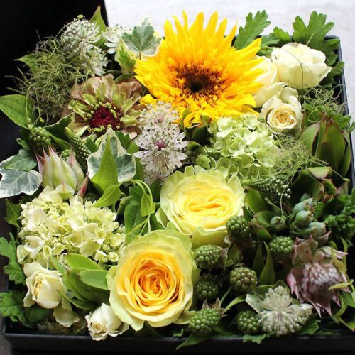 ec_box-arrange-color04