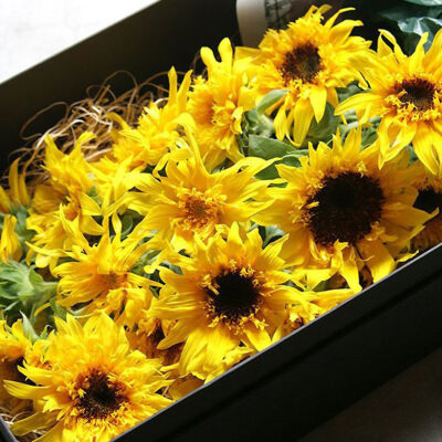 featured_sunflower-box-bouquet