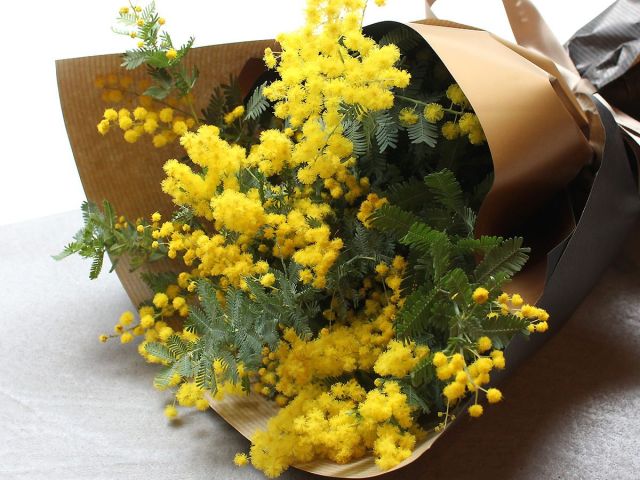 featured_mimosa-bouquet