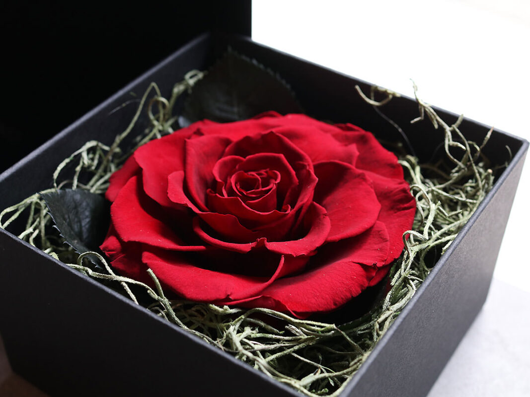 プリザーブドフラワー